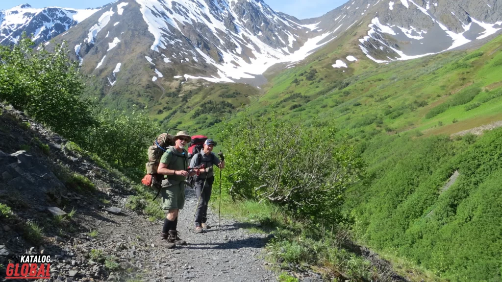 Two hikers explore a lush green mountain trail with snow-capped peaks in Alaska. While hiking is a popular activity, the focus is on answering the question, "Can you drive to Alaska?" and experiencing the journey by road.